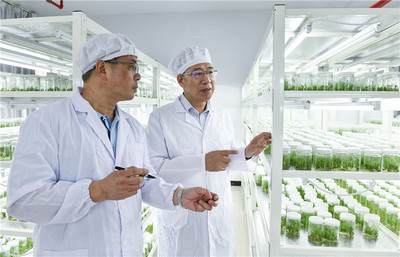 鍛造農(nóng)業(yè)&ldquo;芯&rdquo;,福建打響種業(yè)翻身仗