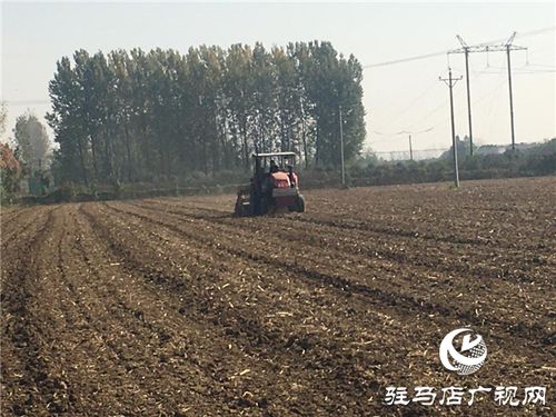 噸源種業召開 福高2號 播種現場會