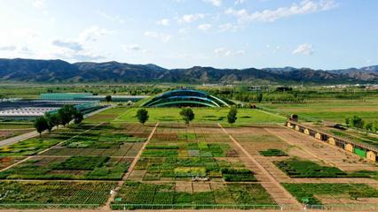內(nèi)蒙古草種業(yè)技術(shù)創(chuàng)新中心獲批!加快向&ldquo;國家級(jí)&rdquo;目標(biāo)邁進(jìn)
