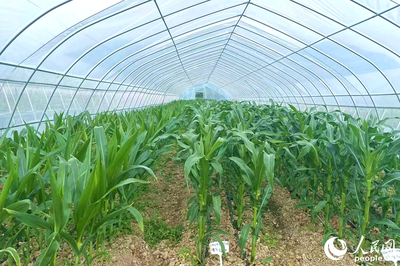 &ldquo;靠&rdquo;好山、&ldquo;吃&rdquo;好海 福建省政協(xié)農(nóng)業(yè)農(nóng)村委開(kāi)展?jié)O港、種業(yè)發(fā)展調(diào)研