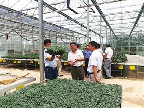 【山東】博盛種業(yè)來到安信種苗,促進(jìn)友好合作