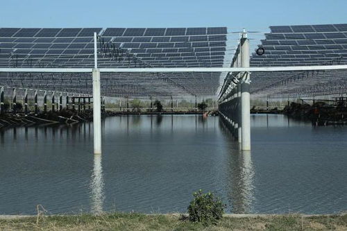 成功簽約建設(shè)贛榆特色現(xiàn)代化設(shè)施漁業(yè)低零碳園區(qū)，助力種業(yè)發(fā)展新篇章