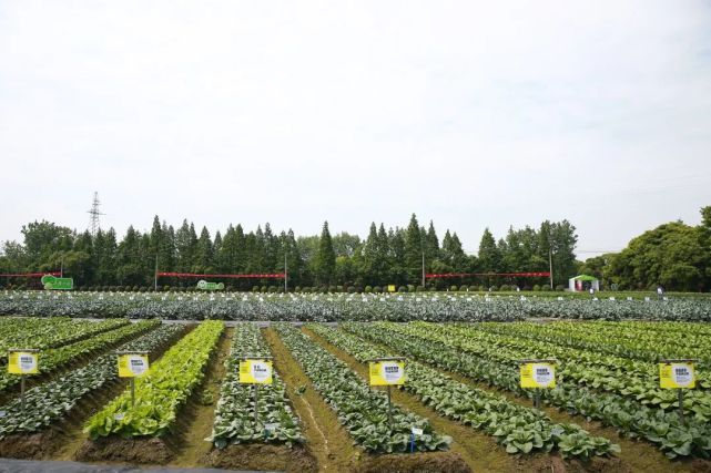 2022浙江種業博覽會明日盛大開幕，助推現代種業創新發展