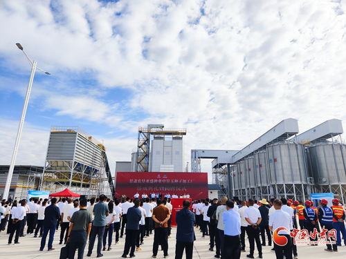 甘肅農墾亞盛種業中墾玉種子加工廠在張掖落成，助力種業現代化發展