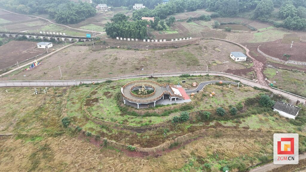 永安鎮大豆種業基地豐收喜人，2000畝油菜輪種續寫豐收篇章