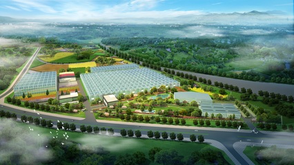 加強國際交流合作，推進花卉種業再上新臺階